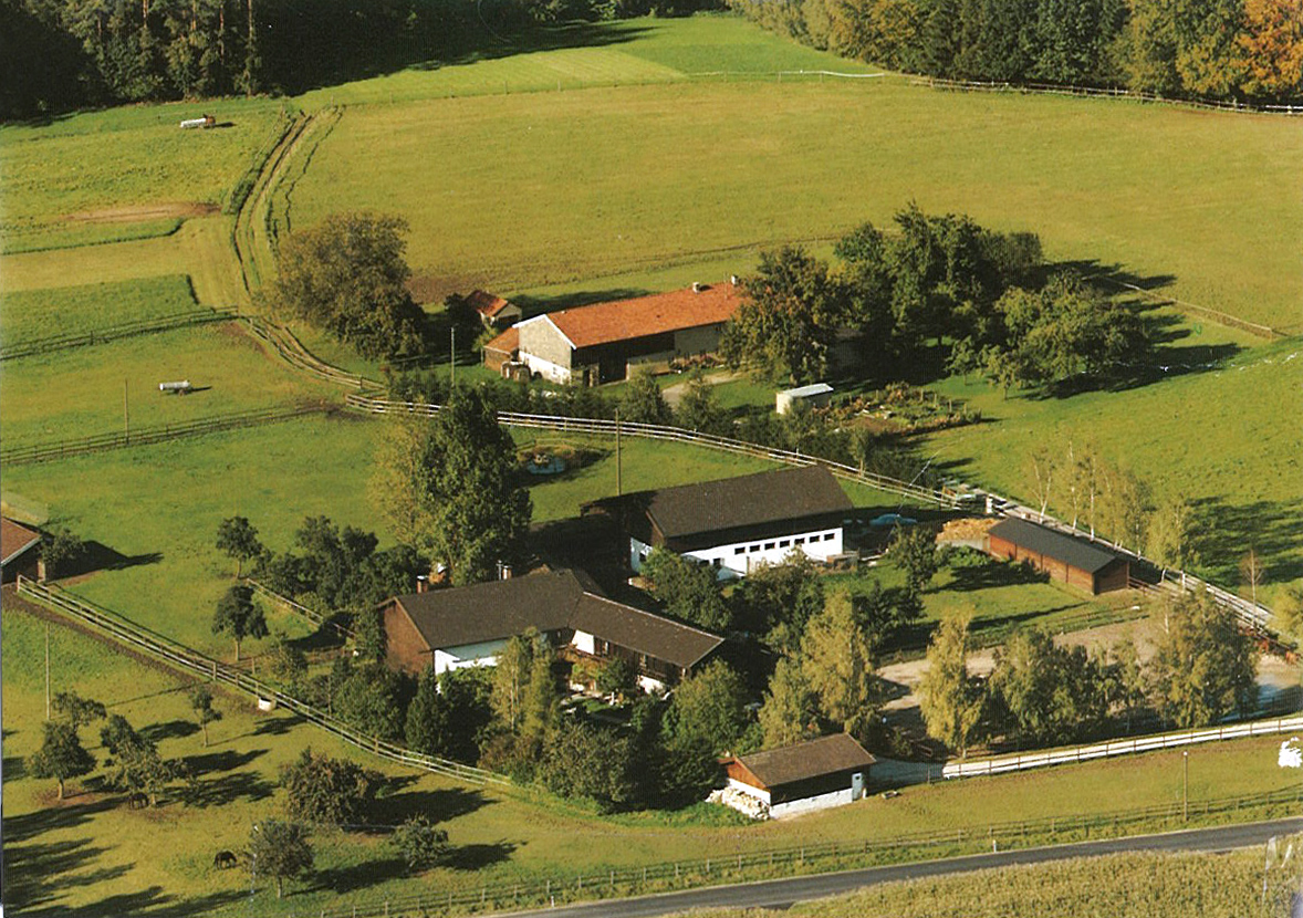 Luftaufnahme Gestüt Schralling